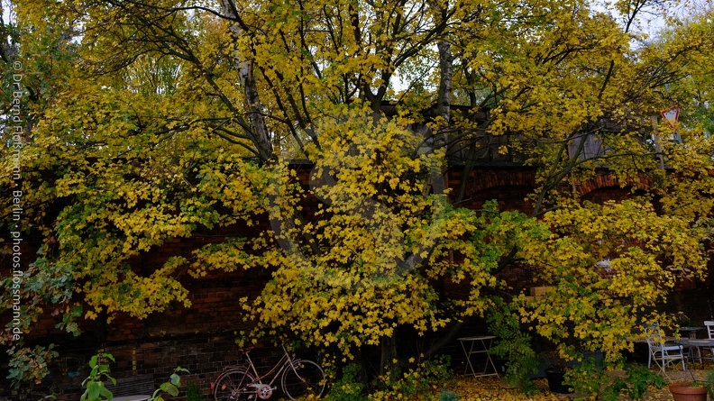Flossmann_10.jpg