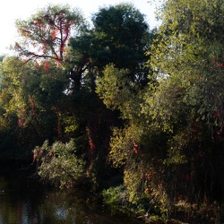 Landschaft | Landscape