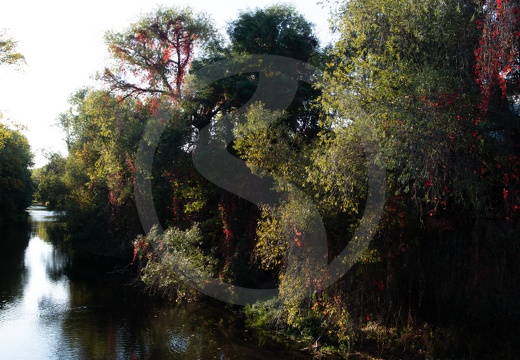 Landschaft | Landscape