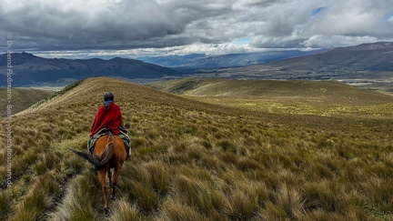 Reiterin Ecuador